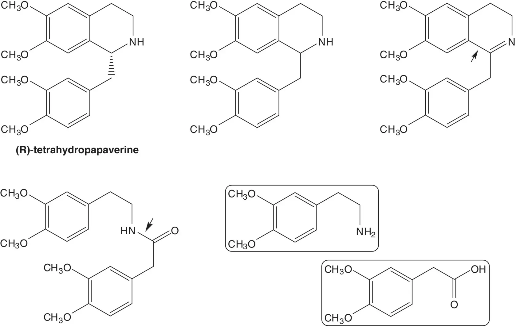 The acrylate is formed by elimination of hydrogen bromide The diester is - фото 72