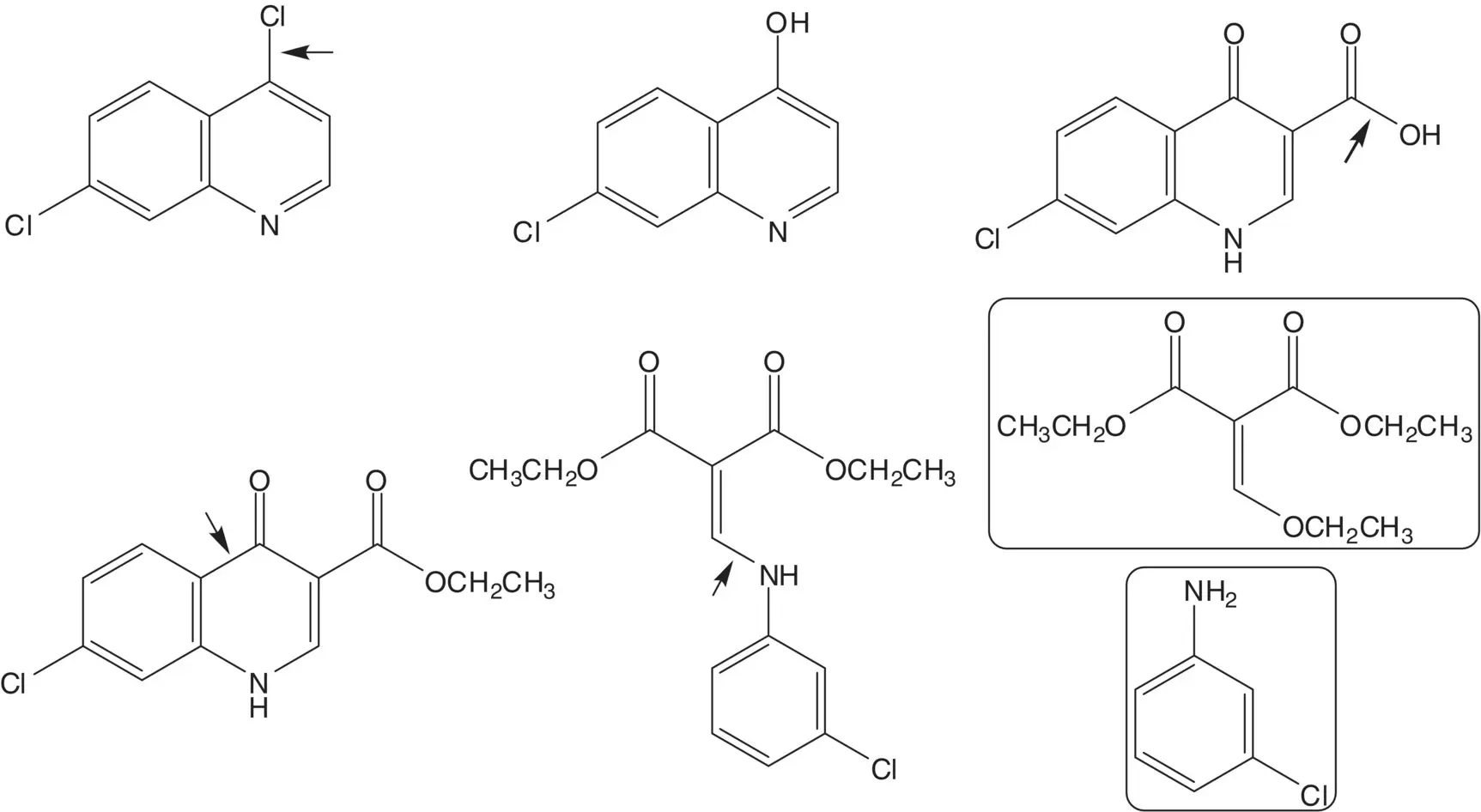 The 4aminophenol is formed by hydrolysis of the acetanilide Another essential - фото 45