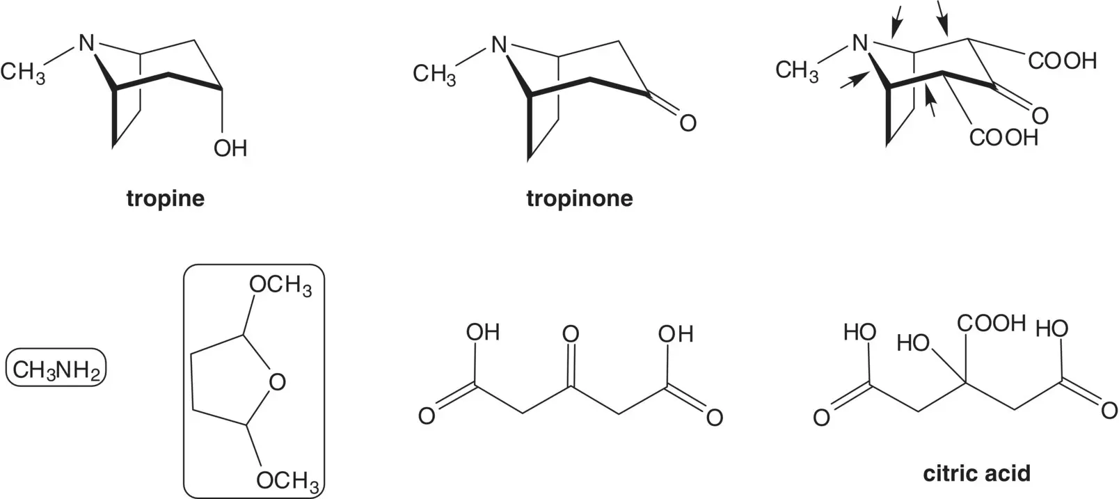 Extended Discussion The yield in the first onepot synthesis of tropinone - фото 77