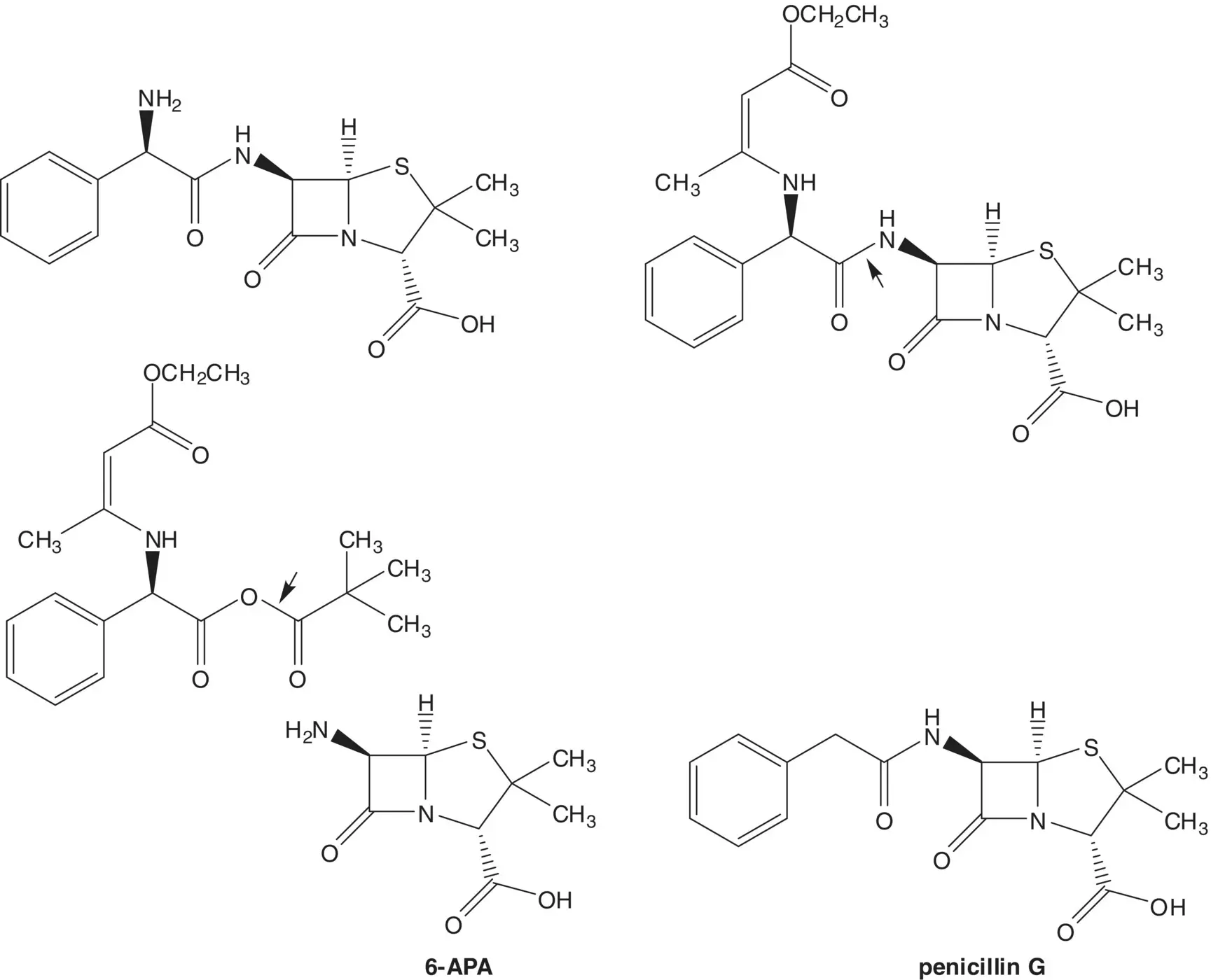 The mixed anhydride is formed from the potassium carboxylate salt and pivaloyl - фото 51
