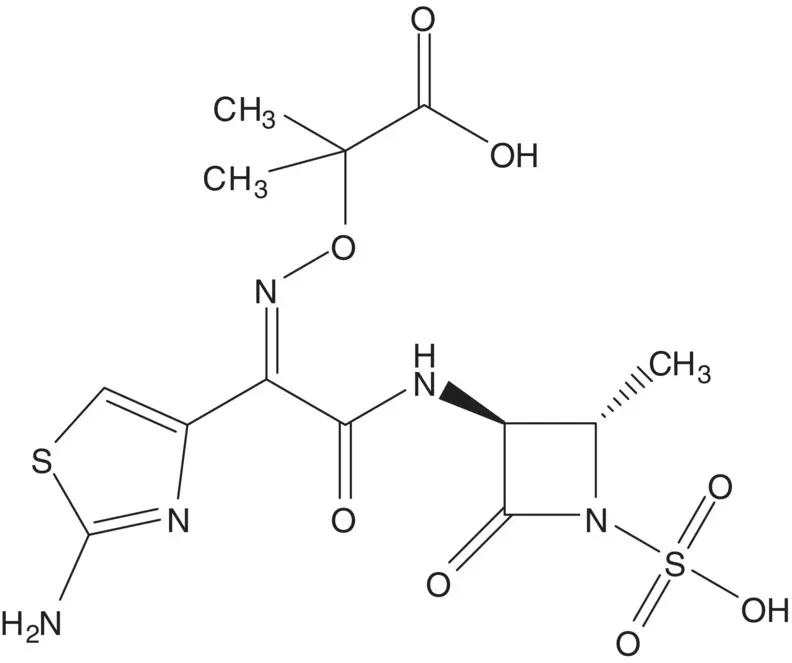 A singleenantiomer molecule with multiple chiral carbons is often formed by - фото 84