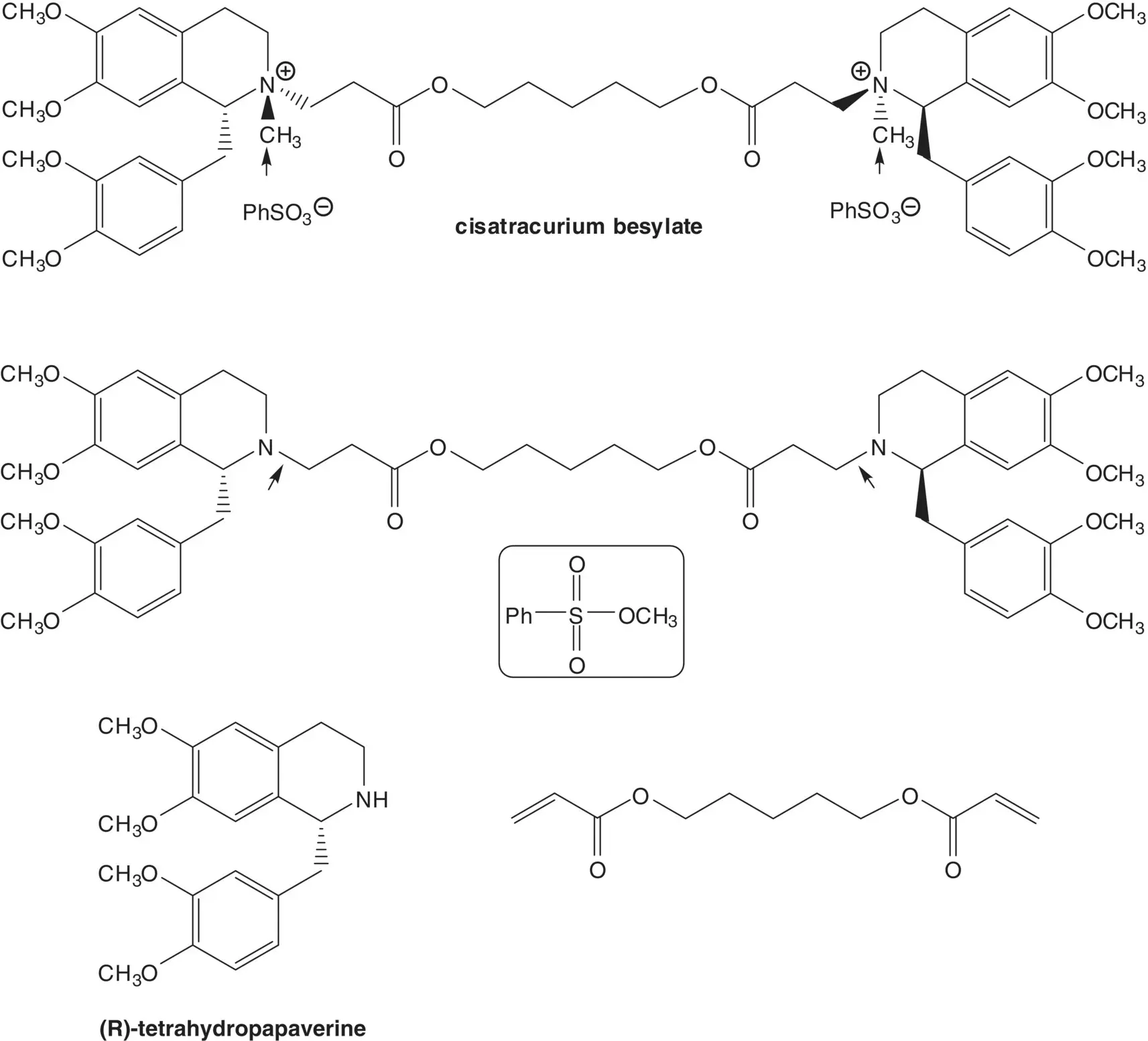 R Tetrahydropapaverine is formed by resolution of tetrahydropapaverine - фото 71