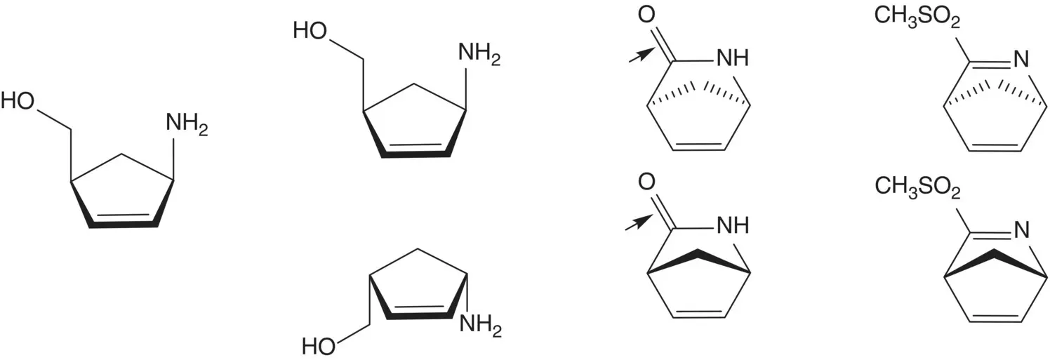 The 2azabicyclo221hepta25dienes are formed by 4 2cycloaddition of - фото 5
