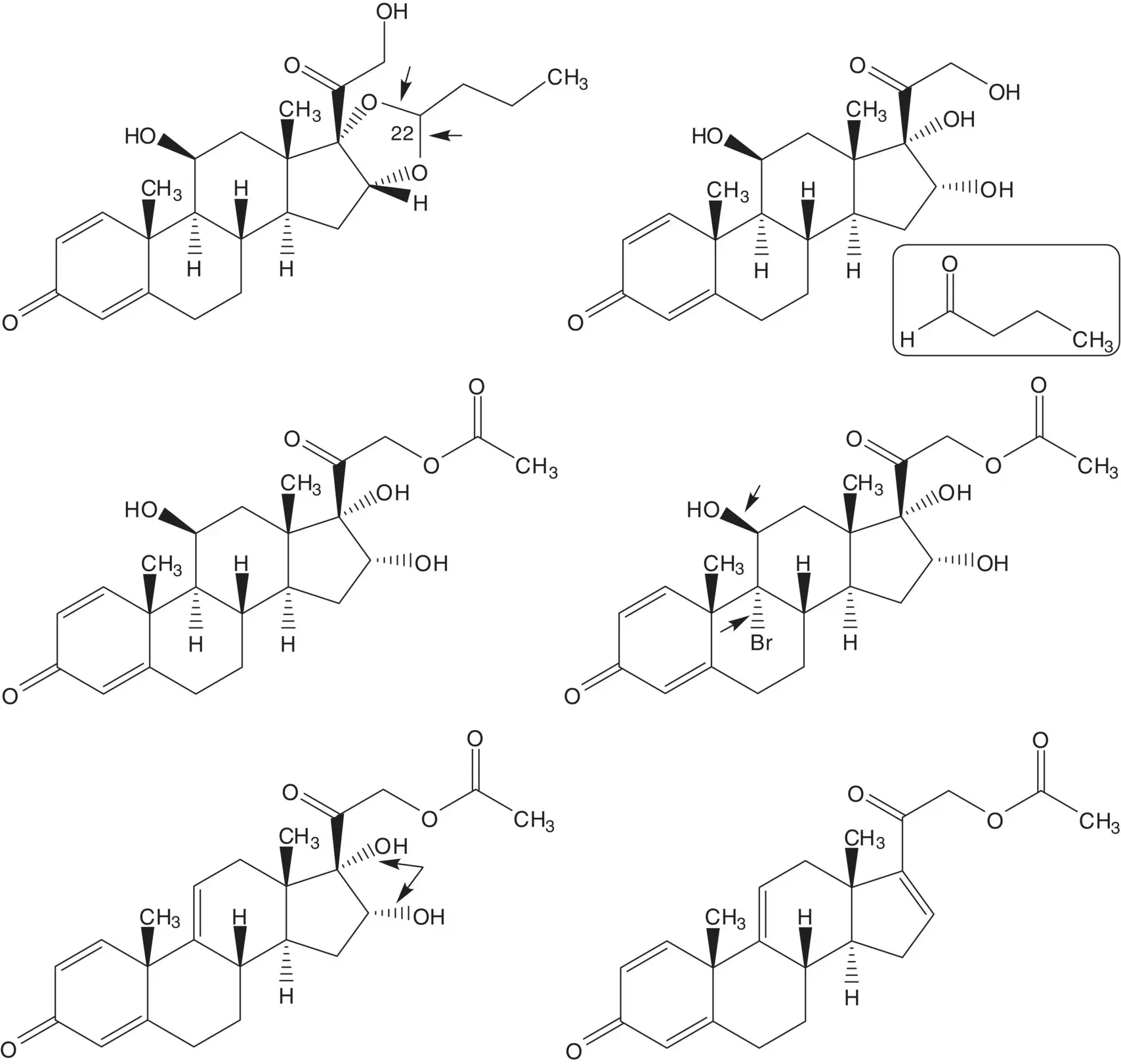 The 911ene of the tetraene is formed by elimination of the C11β mesylate - фото 126