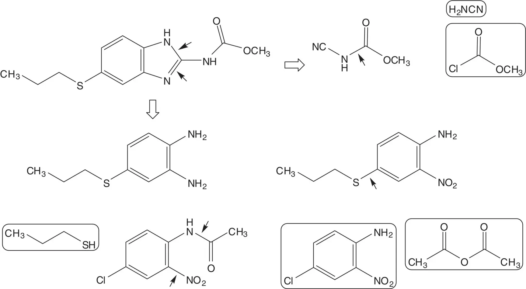 Extended Discussion 2Nitro4propylthioaniline can also be manufactured from - фото 19