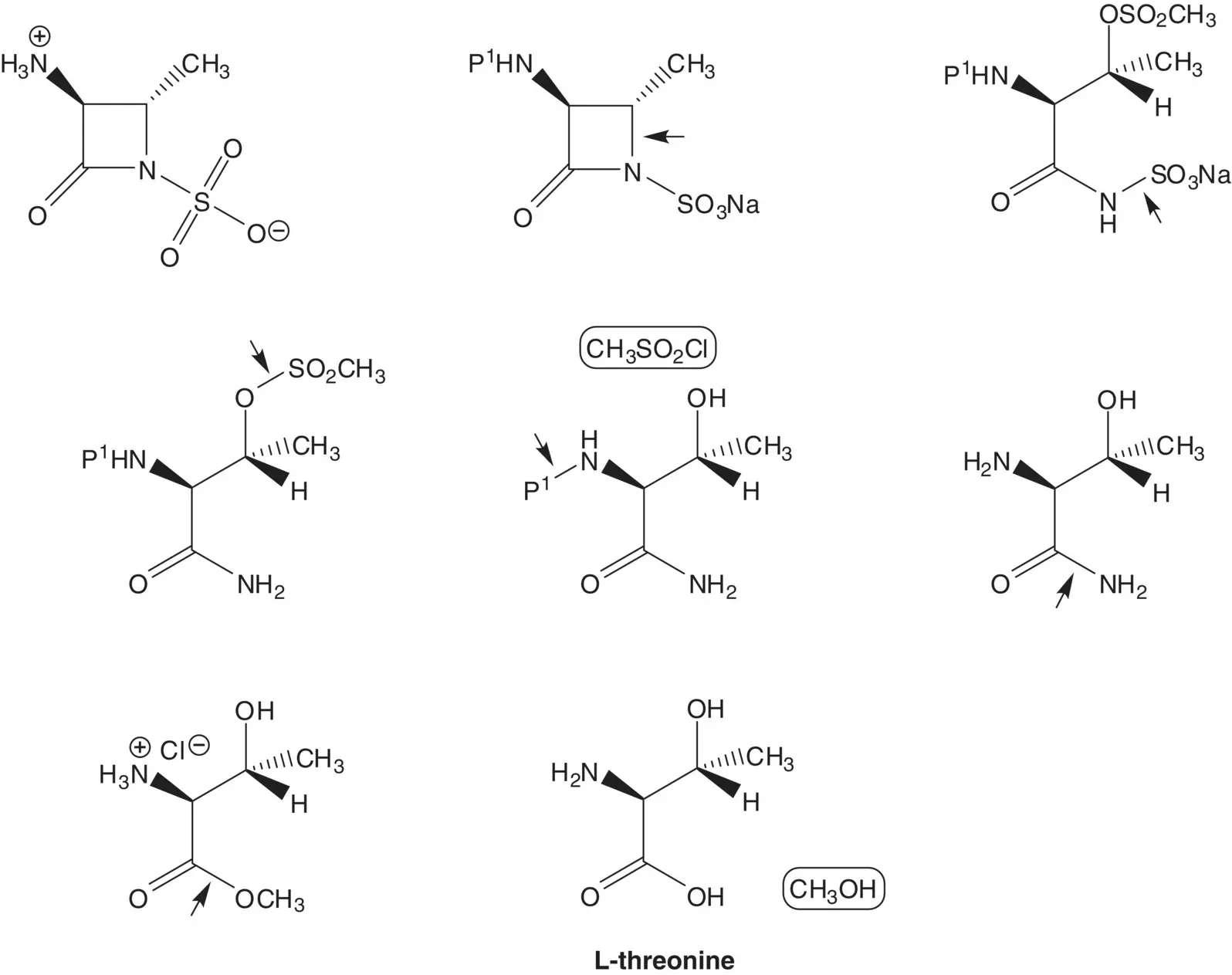 The thioester is formed from the carboxylic acid and - фото 86
