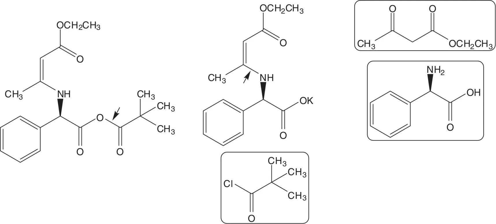 Extended Discussion Ampicillin is also manufactured from 6APA and the acid - фото 52