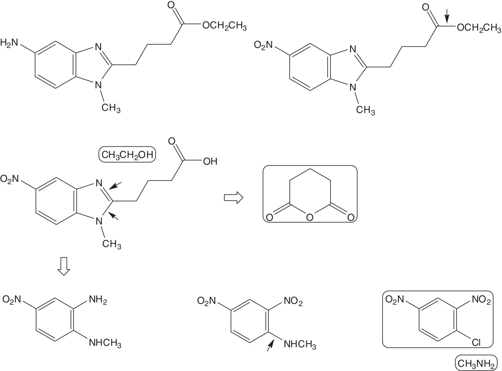 Extended Discussion The selective reduction of one nitro group in a - фото 103