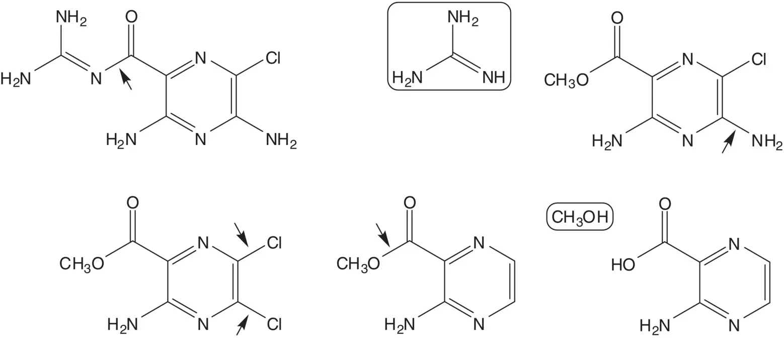 3Aminopyrazine2carboxylic acid is formed by hydrolysis of the pyrimidine - фото 30