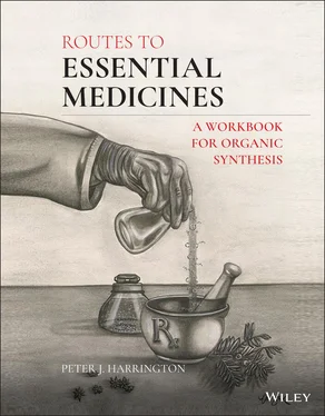 Peter J. Harrington Routes to Essential Medicines обложка книги