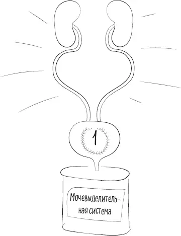 Власть над человеком и великолепный внешний вид не ударили мочевыделительной - фото 4