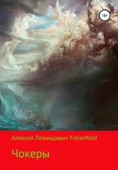 Алексей FreierWolf - Чокеры