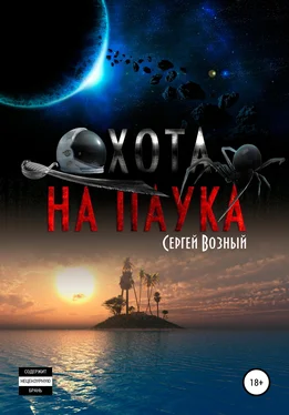 Сергей Возный Охота на Паука обложка книги