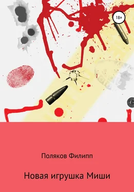 Филипп Поляков Новая игрушка Миши обложка книги