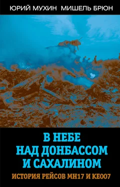 Юрий Мухин В небе над Донбассом и Сахалином. История рейсов МН17 и КЕ007 обложка книги