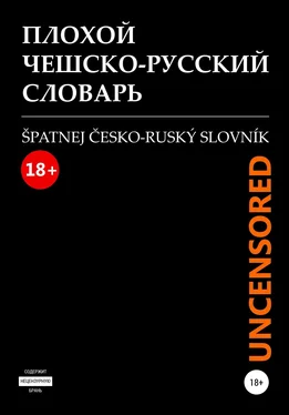 Максим Белявский Плохой чешско-русский словарь. Špatnej česko-ruský slovník обложка книги