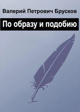 Валерий Брусков По образу и подобию обложка книги