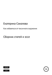 Екатерина Соколова - Сборник статей и эссе