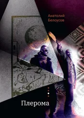 Анатолий Белоусов - Плерома