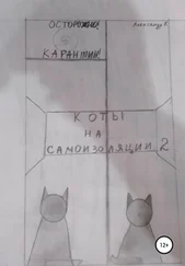Александр К - Коты на самоизоляции 2