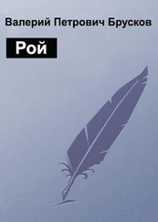 Валерий Брусков - Рой