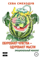 Сева Смеходув - Обуревают чувства – одуревают мысли. Эмоциональный монолог