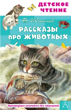 Борис Житков Рассказы про животных обложка книги