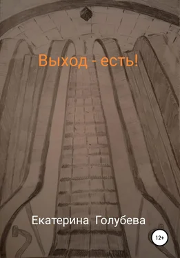 Екатерина Голубева Выход – есть! обложка книги