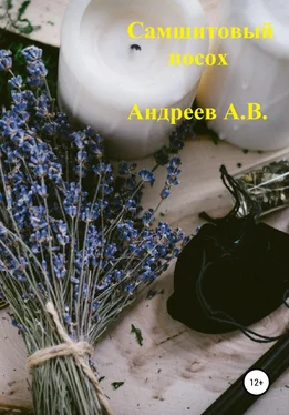 Александр Андреев Самшитовый посох обложка книги