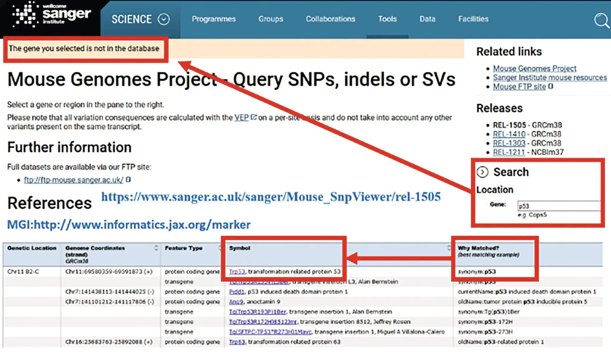 Figure 31 Top searching p53 SNPs reveals The gene you selected is not in the - фото 7