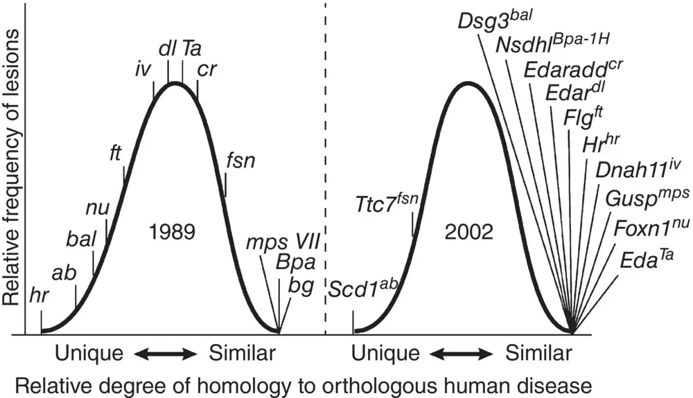 Figure 46 Validation of mouse models over time In 1989 few mouse models - фото 19