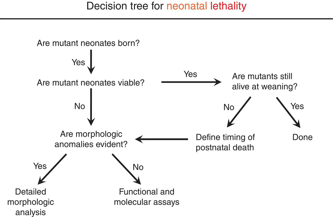 Figure 520 An outcomeoriented decision tree for evaluating neonatal and - фото 39
