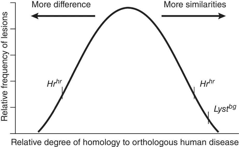 Figure 45 Fitting mouse models to the concepts of human disease The mouse - фото 18