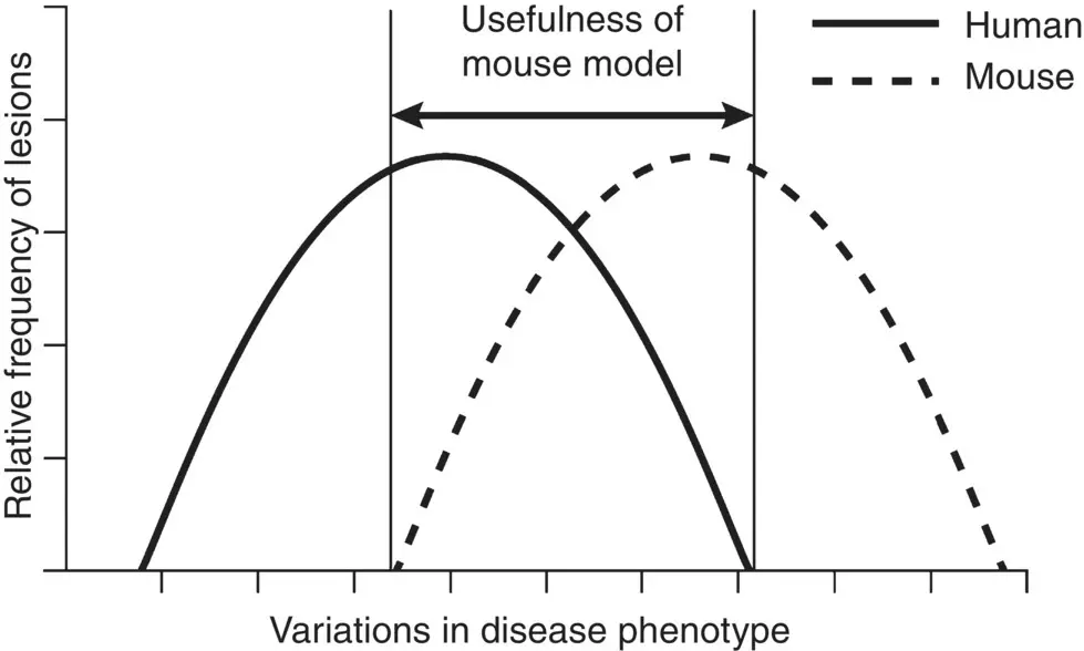 Figure 41 Nonhuman including mouse models were historically compared - фото 14
