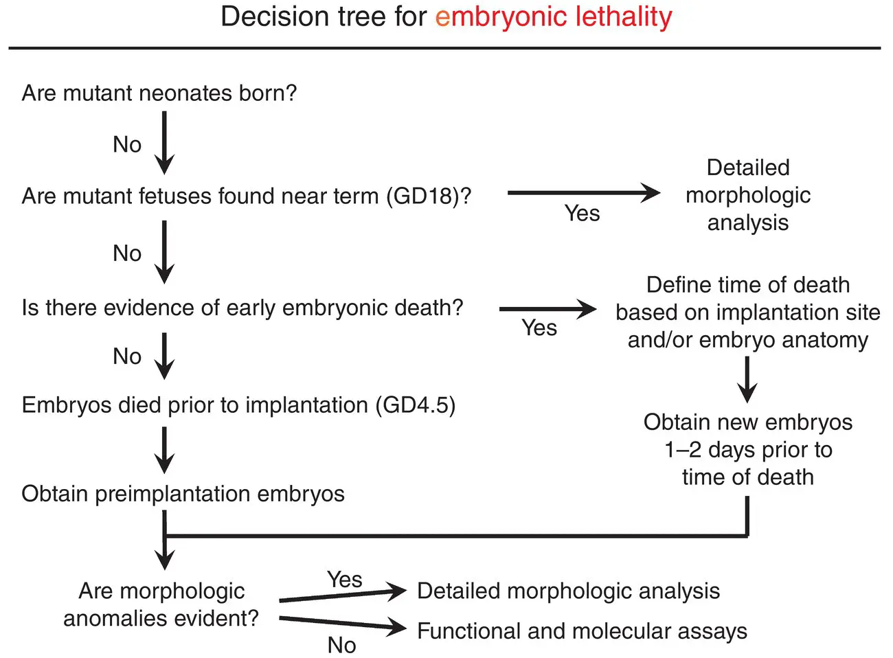 Figure 519 An outcomeoriented decision tree for evaluating embryonic lethal - фото 38