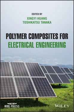 Неизвестный Автор Polymer Composites for Electrical Engineering обложка книги