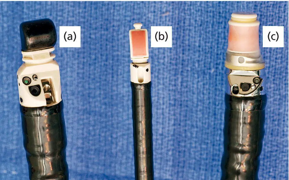Figure 32 Types of echoendoscopes a linear probe b endobronchial probe - фото 30