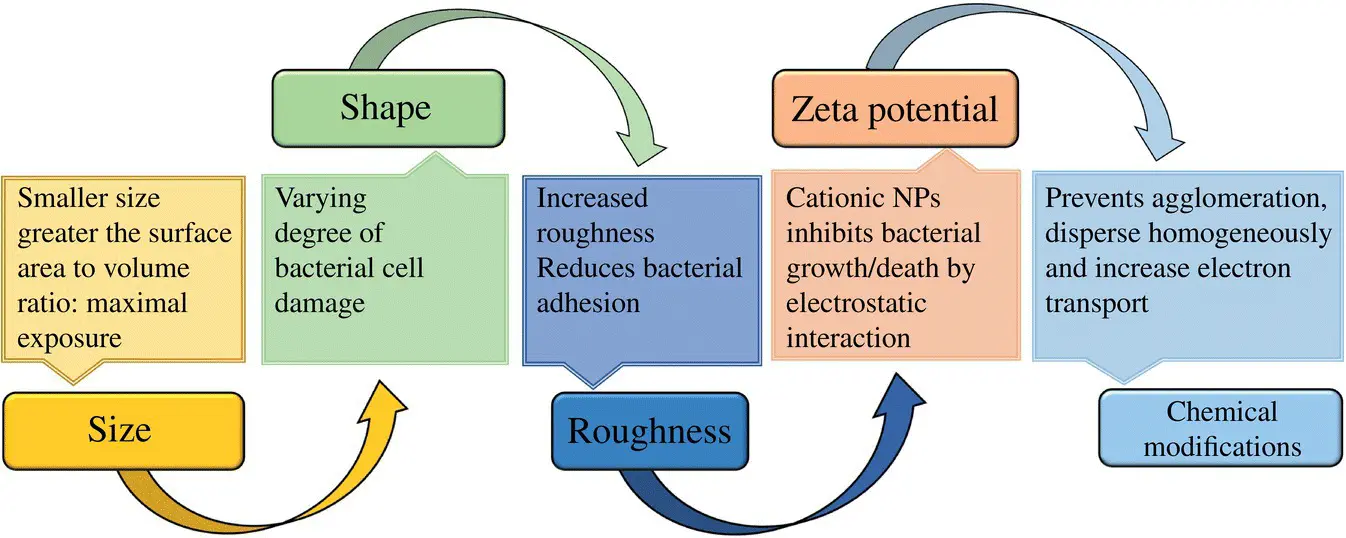 Figure 16 Schematic of the key factors that contribute to the antimicrobial - фото 7