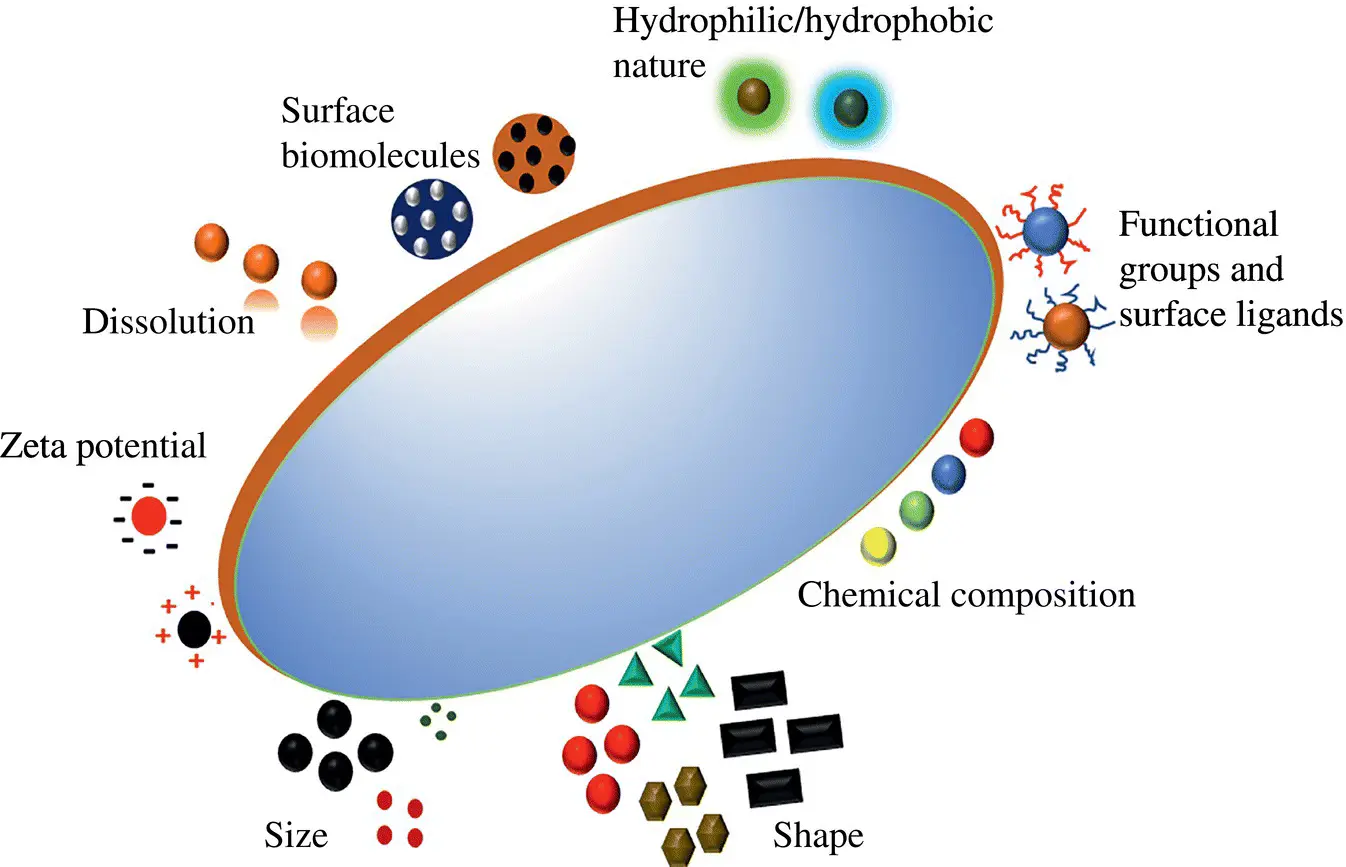 Figure 15 Schematic of the factors influencing the antimicrobial activity of - фото 6