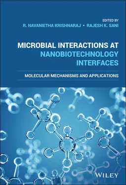 Неизвестный Автор Microbial Interactions at Nanobiotechnology Interfaces обложка книги