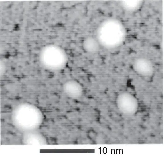 Figure 11 Manganese nanoparticles on bucky ballsSTM image see Chapter 5 - фото 9