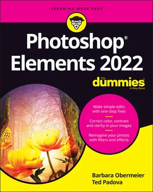 Barbara Obermeier Photoshop Elements 2022 For Dummies обложка книги