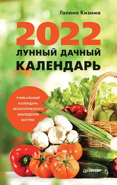 Галина Кизима Лунный дачный календарь на 2022 год обложка книги