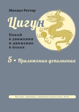 Михаил Роттер Цигун. Покой в движении и движение в покое. В 5 тт. Т.5: Приложения-дополнения обложка книги