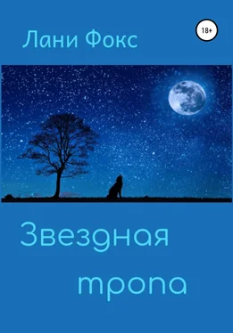 Лани Фокс Звездная тропа обложка книги