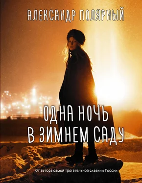 Александр Полярный Одна ночь в зимнем саду обложка книги