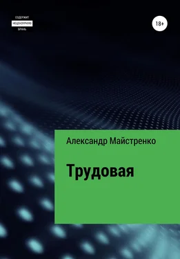 Александр Майстренко Трудовая обложка книги