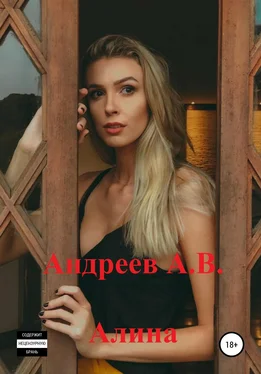 Александр Андреев Алина обложка книги