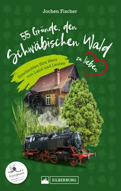 Jochen Fischer 55 Gründe, den Schwäbischen Wald zu lieben обложка книги