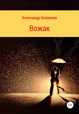 Александр Колупаев Вожак обложка книги